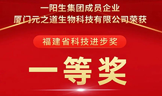 喜讯 | AG8亚洲国际游戏集团集团荣获“科技前进一等奖”